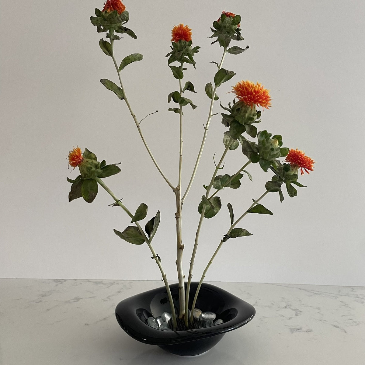 A black bowl-shaped vase with clear stones.   Vase has built in flower frog pin allowing for dramatic styling of flowers.   Great in kitchen, office, bathroom.  Great all year round or for Halloween. 
