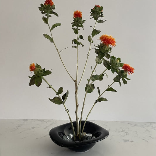 A black bowl-shaped vase with clear stones.   Vase has built in flower frog pin allowing for dramatic styling of flowers.   Great in kitchen, office, bathroom.  Great all year round or for Halloween. 